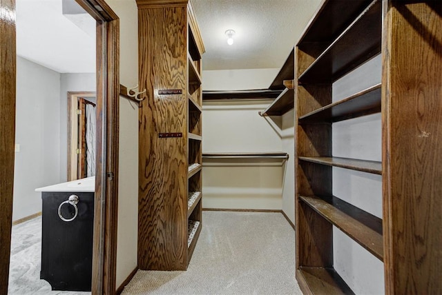 walk in closet featuring carpet floors