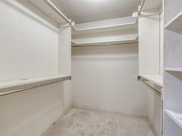 walk in closet with light colored carpet