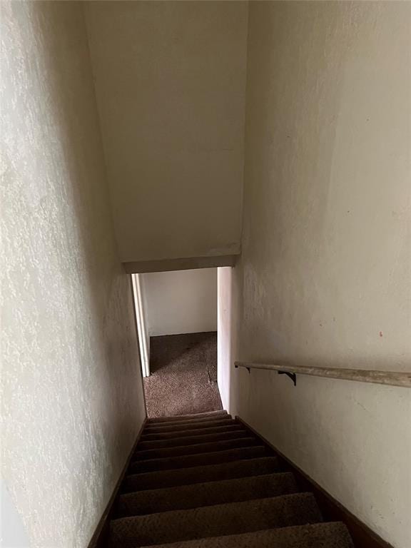 stairway with carpet floors