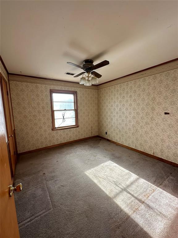 carpeted empty room featuring ornamental molding and ceiling fan