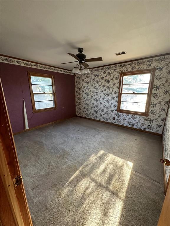 empty room featuring carpet flooring and ceiling fan