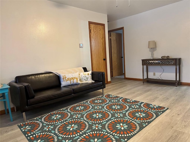 living room featuring hardwood / wood-style flooring