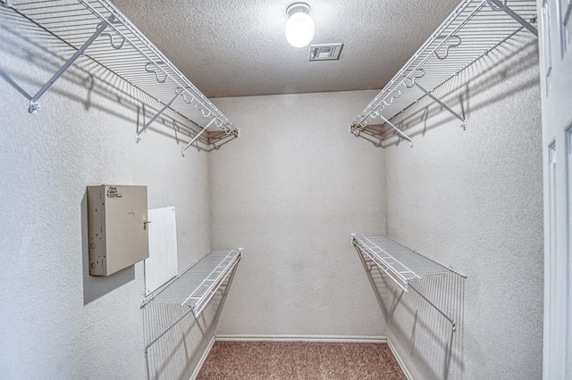 walk in closet with carpet flooring