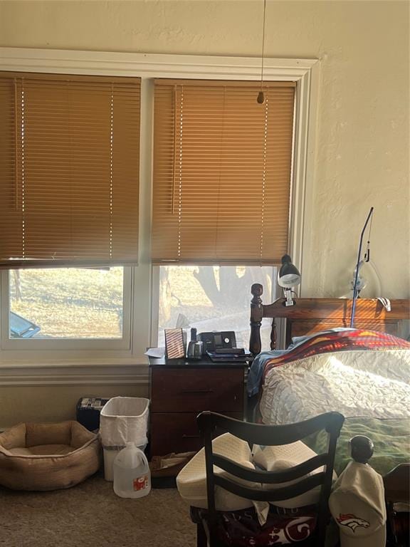506 N Broadway St, Marlow, OK 73055 - view of carpeted bedroom
