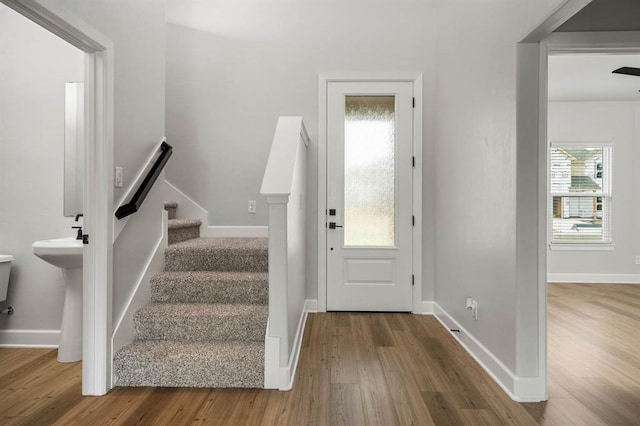 foyer entrance with wood-type flooring