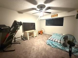 interior space featuring carpet, a ceiling fan, and a textured ceiling