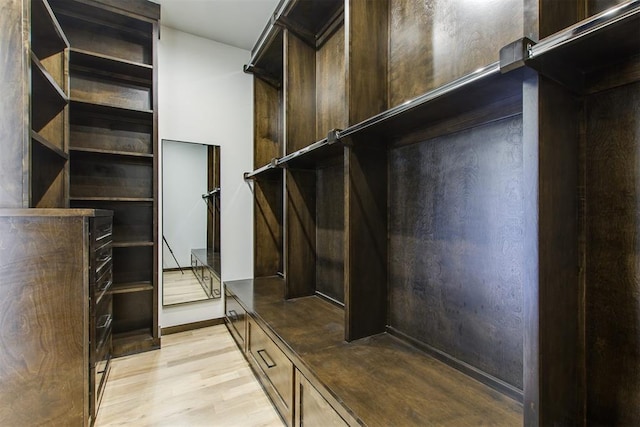 walk in closet with light wood finished floors