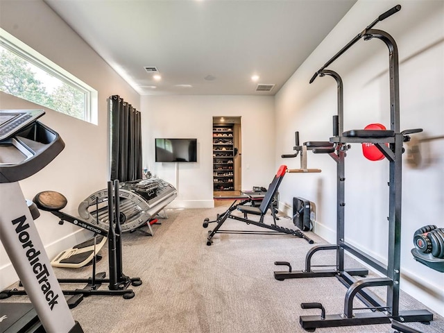 exercise room featuring carpet