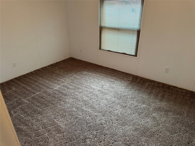 unfurnished room featuring carpet