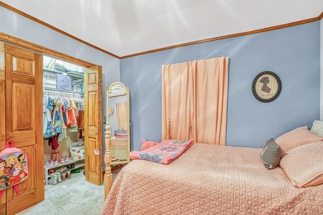 bedroom featuring crown molding, a walk in closet, carpet flooring, and a closet