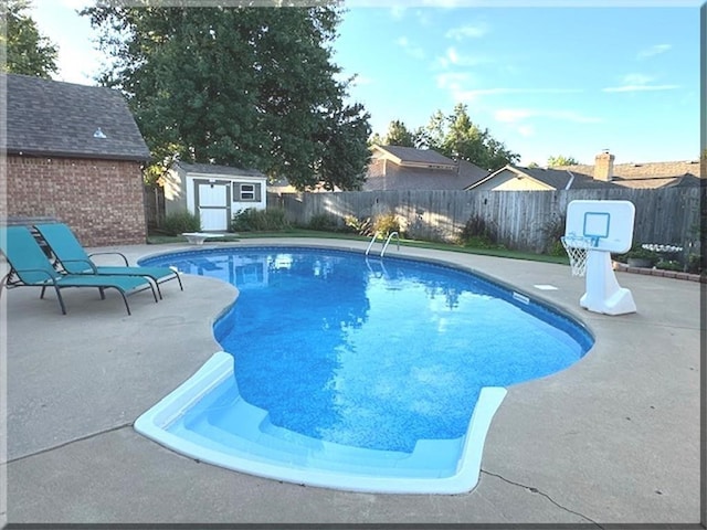 view of pool with a patio and a storage shed