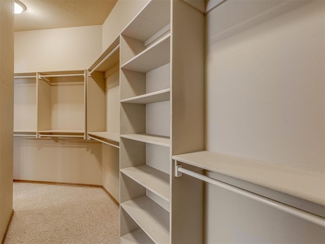 spacious closet with carpet