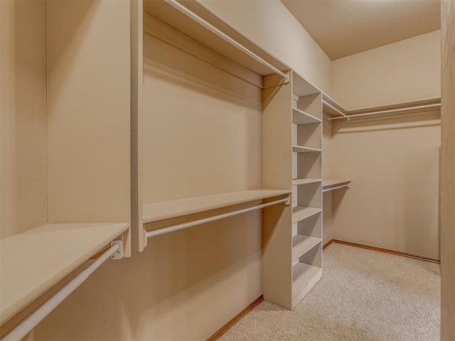 spacious closet featuring carpet