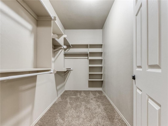 spacious closet featuring light colored carpet