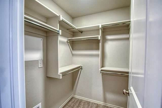 walk in closet with carpet floors