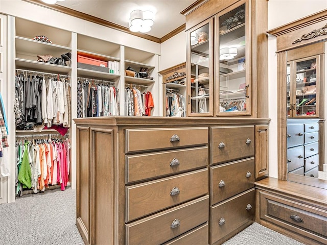 spacious closet with carpet floors