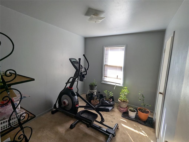 workout room with carpet flooring