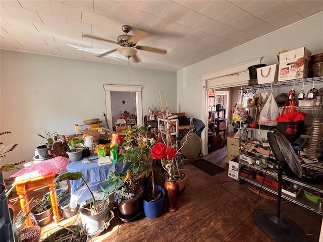 interior space with a ceiling fan