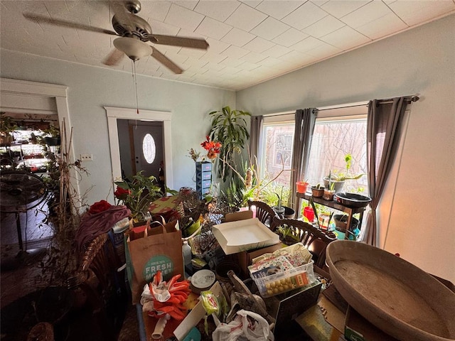 dining area with ceiling fan