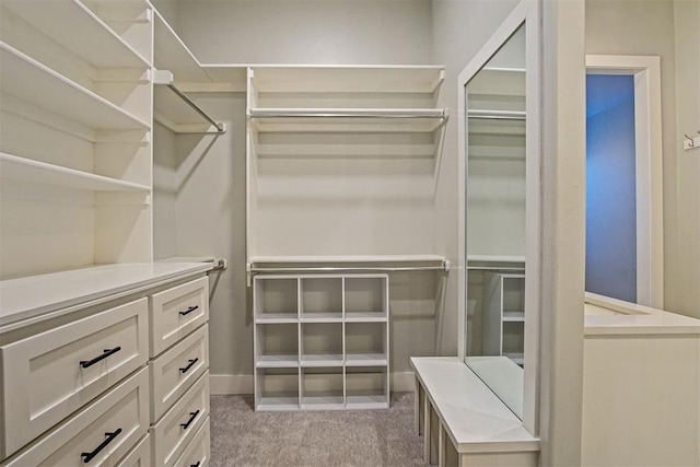 spacious closet with light carpet