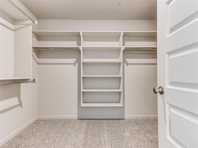 spacious closet featuring light carpet