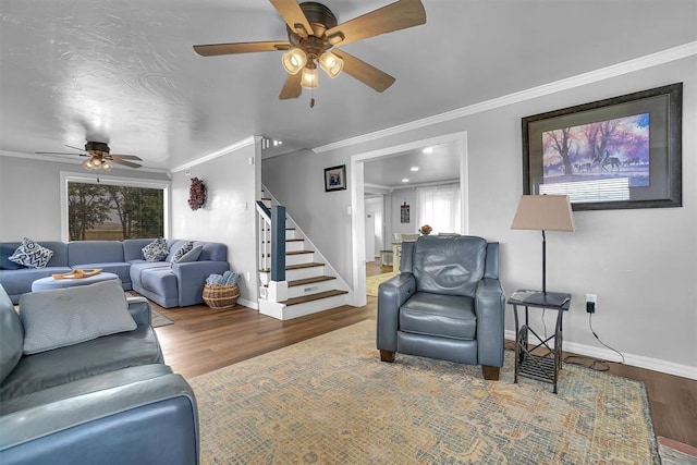 living room featuring ceiling fan, crown molding, and wood-type flooring