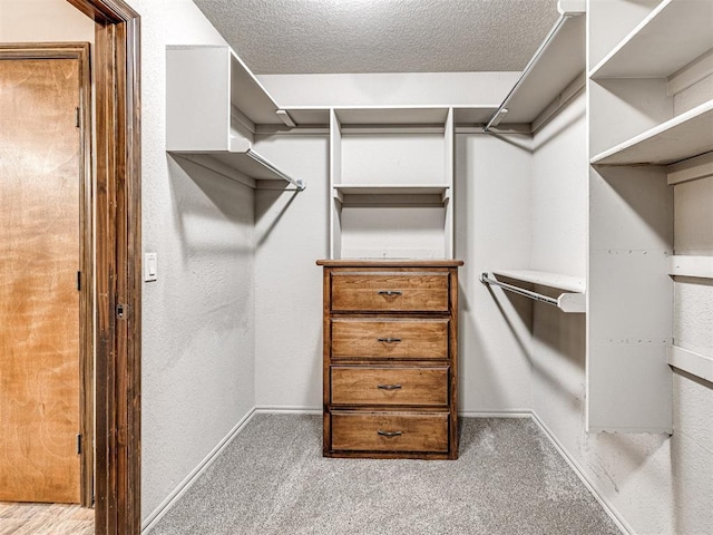 walk in closet featuring light colored carpet