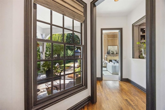 doorway with plenty of natural light and wood-type flooring