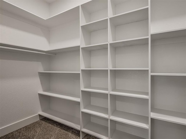 walk in closet with carpet flooring