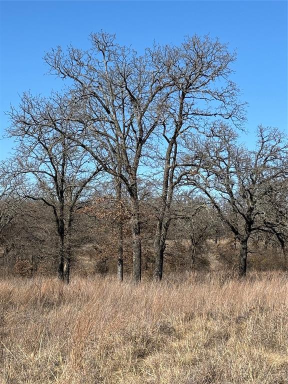 24377 E County Road 1700, Elmore City, OK 73433 - photo 16