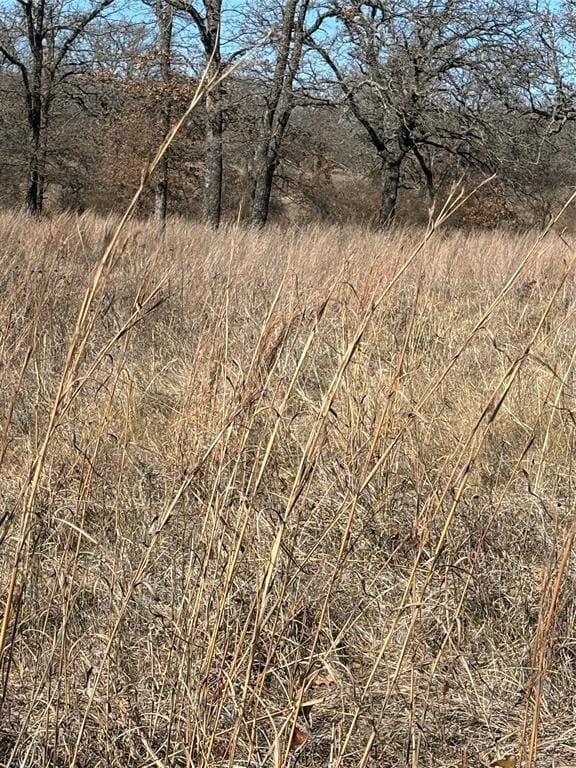 24377 E County Road 1700, Elmore City, OK 73433 - photo 17