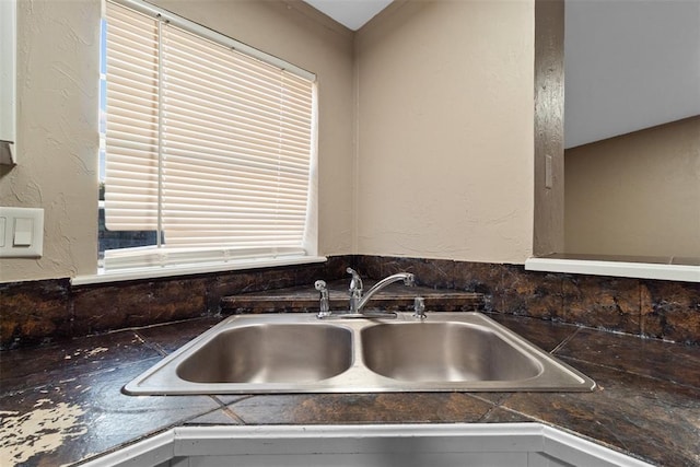 interior details with a textured wall and a sink