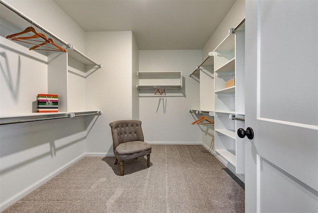 spacious closet with carpet