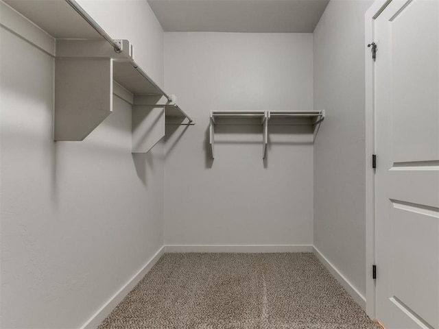 spacious closet featuring carpet flooring