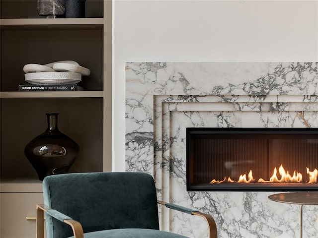 details with a premium fireplace