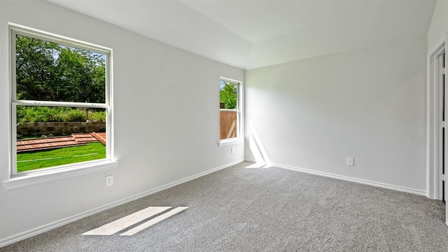 unfurnished room with carpet flooring