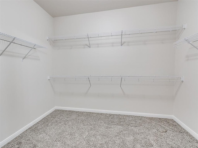 walk in closet featuring carpet floors