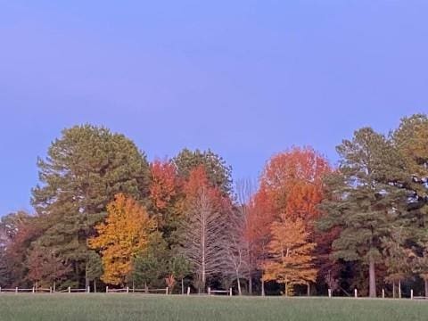 view of property's community with a yard