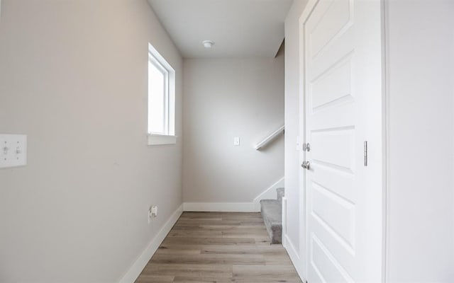 stairs with hardwood / wood-style flooring