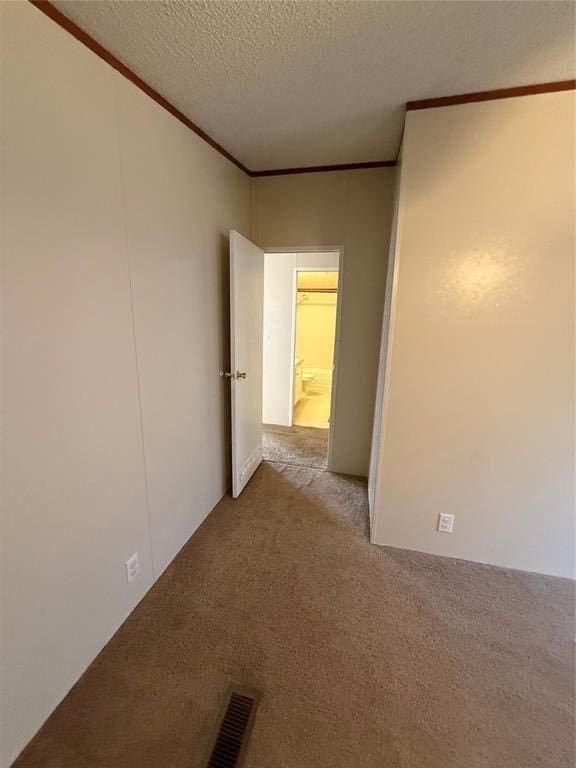 carpeted empty room with crown molding and a textured ceiling