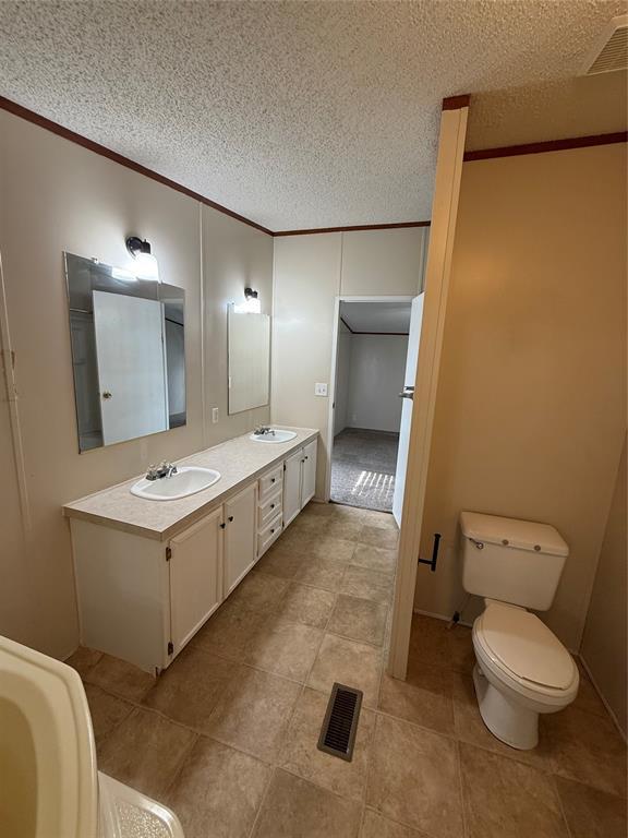 bathroom with toilet, vanity, crown molding, and a textured ceiling