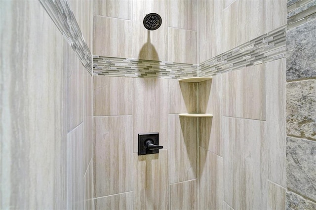 room details with tiled shower