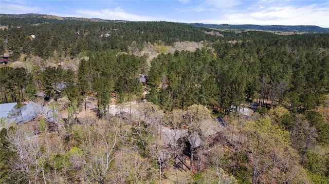 bird's eye view with a forest view