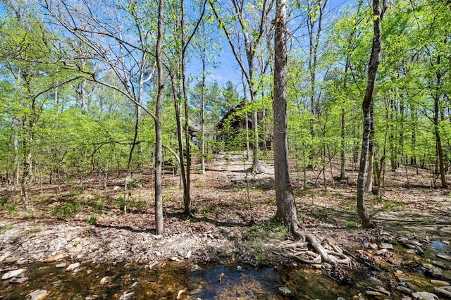 view of landscape featuring a view of trees