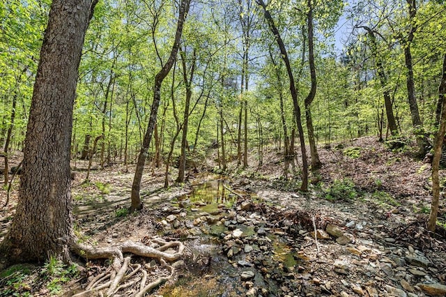 view of nature featuring a view of trees