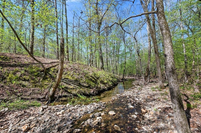 view of local wilderness with a view of trees