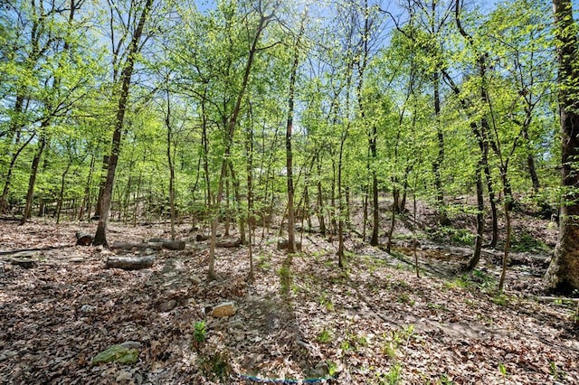 view of landscape featuring a forest view