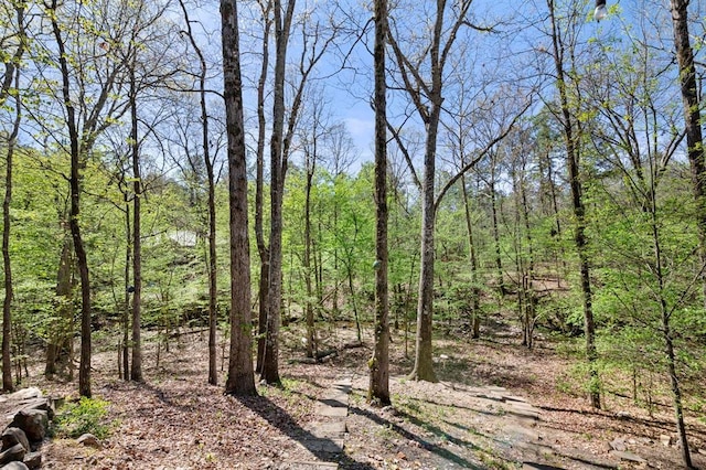 view of landscape featuring a forest view