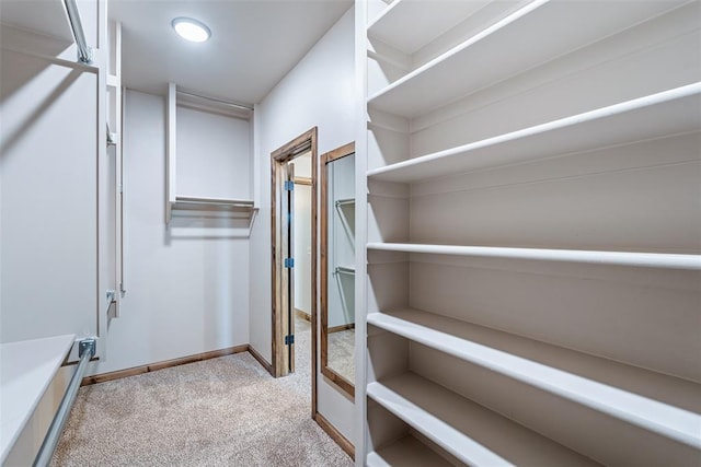 walk in closet featuring carpet