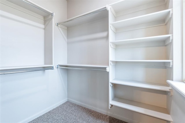 walk in closet featuring carpet floors